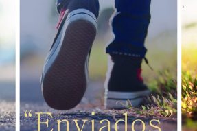 Javierada 2019