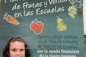 Frutirioja: frutas y verduras en las Escuelas